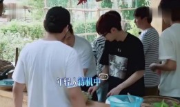 洗碗屋在线观看,在线观看，揭秘厨房里的温情故事