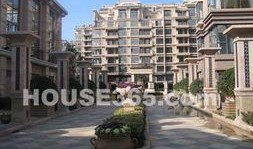 南京中海爆料最新消息