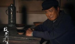 电视剧故土在线观看,寻根之旅，情感交织的岁月画卷