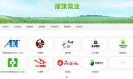 插旗菜业爆料新闻最新消息,揭秘行业黑幕，真相令人震惊！