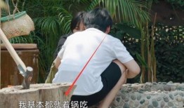 洗碗屋在线观看,在线观看，揭秘厨房里的温情故事