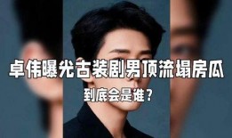 娱乐圈大瓜爆料人,揭秘明星背后的惊人真相