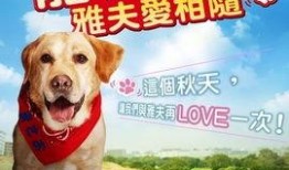 宠物当家在线观看,萌宠生活大揭秘，在线观看带你走进宠物世界