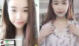 网红雪梨爆料事件视频播放,揭秘背后真相