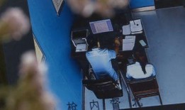 蒙面人爆料视频竖屏版