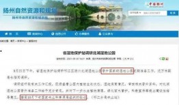 北湖大事件爆料视频,揭秘神秘视频背后的惊人真相