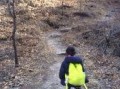 戈田山爬山爆料案件视频,揭秘真相与疑云