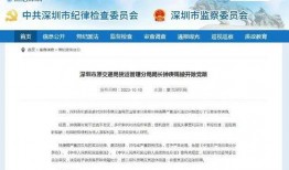 深圳炫富事情最新爆料,最新爆料揭露惊人内幕