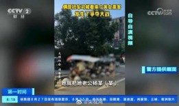 自导自演假视频爆料,揭秘背后真相与影响