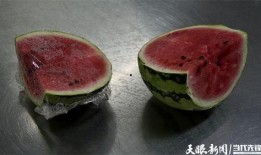 娱乐吃瓜菌,吃瓜菌带你探秘明星幕后故事