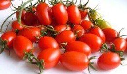 娱乐吃瓜小金鱼小说,小金鱼吃瓜记