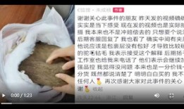 女子爆料扬子直播间视频,揭秘背后惊人真相