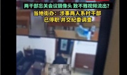 领导爆料视频大全,真实事件背后的真相大起底