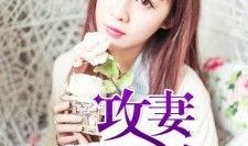 娱乐吃瓜酱妻子小说,妻子背后的秘密风云