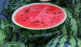 娱乐吃瓜菌,吃瓜菌带你探秘明星幕后故事