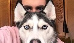 二哈吃瓜娱乐圈百度云