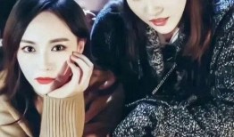 刘亦菲唐嫣娱乐爆料,揭秘明星幕后故事