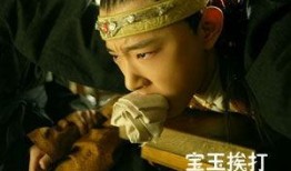 新红楼手机在线观看,穿越时空的视觉盛宴