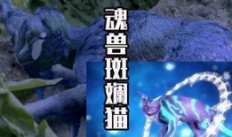 韩羽爆料三眼龙视频,揭秘神秘生物的神秘视频