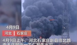 日本媒体爆料车祸视频播放,媒体曝光视频令人触目惊心