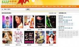 免费片在线观看网站,揭秘免费片在线观看网站的奥秘与风险