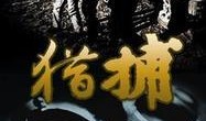猎捕在线观看,在线观看，揭秘惊心动魄的生存游戏