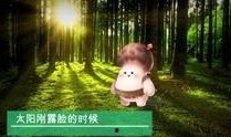 野生菌爆料视频大全集播放,探寻菌林奥秘，尽享美味之旅